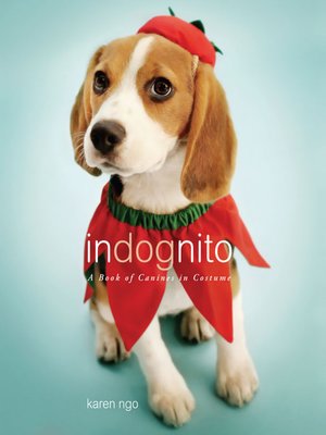 cover image of InDognito